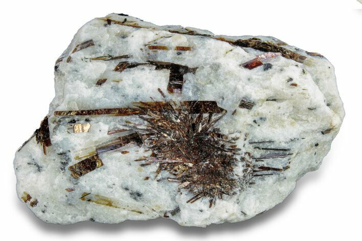 Golden-Brown, Radiating Astrophyllite - Kola Peninsula, Russia #255095
